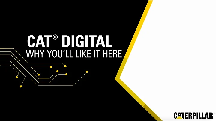 Cat Digital Job Description Series: Meet Shareen Wahab