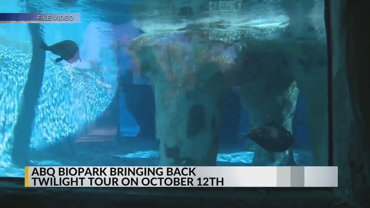 ABQ BioPark announces fall Twilight Tour - YouTube