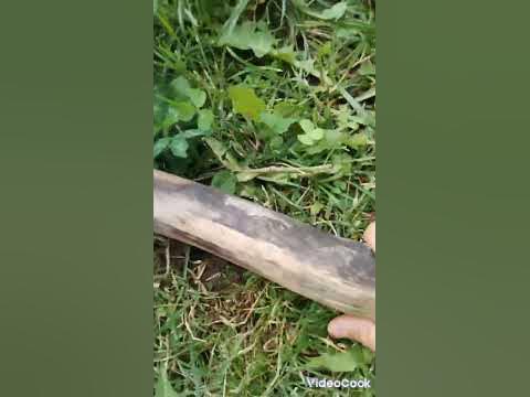 болтик... - YouTube