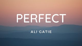 Ali Gatie - Perfect (Lyric Video)
