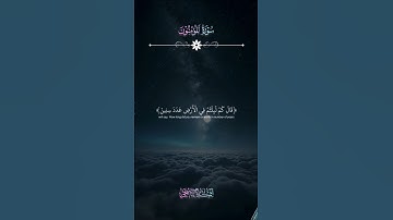 إِنِّي جزيتهم اليوم بما صبروا أنَّهم هم الفائزون🔹بصوت القاريء إسلام صبحي #القرآن_الكريم #تلاوة_خاشعة
