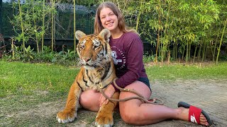 SAFARI WALK WITH MY TIGER SISTER @myrtlebeachsafari