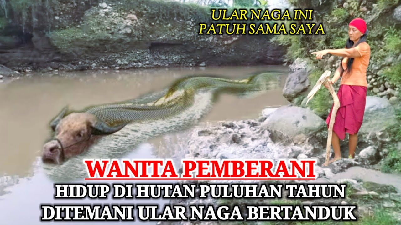 Ngeri !! Kisah Nyata Wanita Pemberani Puluhan Tahun Hidup Dihutan Ditemani Ular Naga Bertanduk