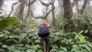 Climbing Mount Slamet Kalipagu The Hardest Route (At first it was beautiful...BUT???)