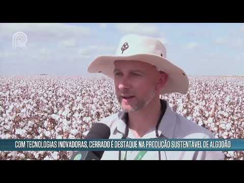 Cerrado é destaque na produção sustentável de algodão | Canal Rural