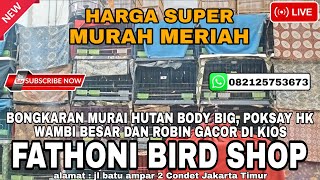Download Lagu FULL BONGKARAN MURAI HUTAN BODY BIG NON GEMBUNG,WAMBI BESAR DAN CUCAK CUNGKO MP3