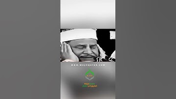 ‎يَا بُنَيَّ إِنَّهَا إِن تَكُ مِثْقَالَ حَبَّةٍ مِّنْ خَرْدَلٍ فَتَكُن فِي صَخْرَةٍ  #تلاوات #قرآن