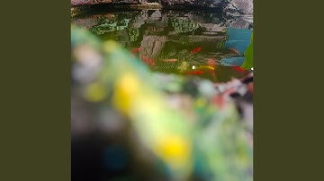 Love like this is here to stay