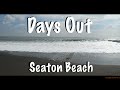 Days Out | Seaton Beach