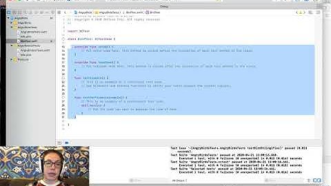 Introduction to Automated Testing in iOS (Demo 14)