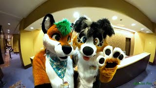 Midwest FurFest 2021 - Random Clips