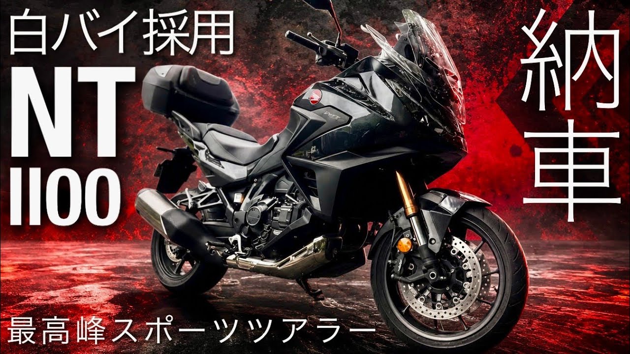 専用(武器無し) YouTube