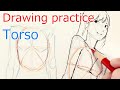 胴体のワイヤーを描く練習 : Drawing Practice Torso