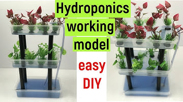 hydroponics - hydroponic farming model - hydroponics working model - hydroponic system - easy diy