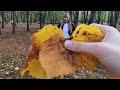 осенний выходной день