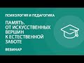 Память. От искусственных вершин к естественной заботе