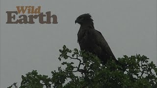 WildEarth - Sunset Safari - 07 March 2020 - Part 1