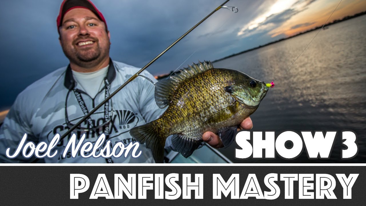 Panfish Mastery — AnglingBuzz TV 