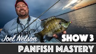 Panfish Mastery — AnglingBuzz TV