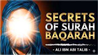 What Imam Ali Saw Hidden In Surah Baqarah (This Changes Everything)