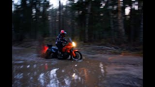 KTM 990 Adventure в Российском лесу .