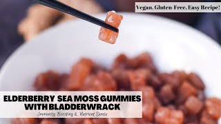 Elderberry Ginger Sea Moss Gummies with Bladderwrack | Easy, Immunity Boosting Recipe! Vegan + GF