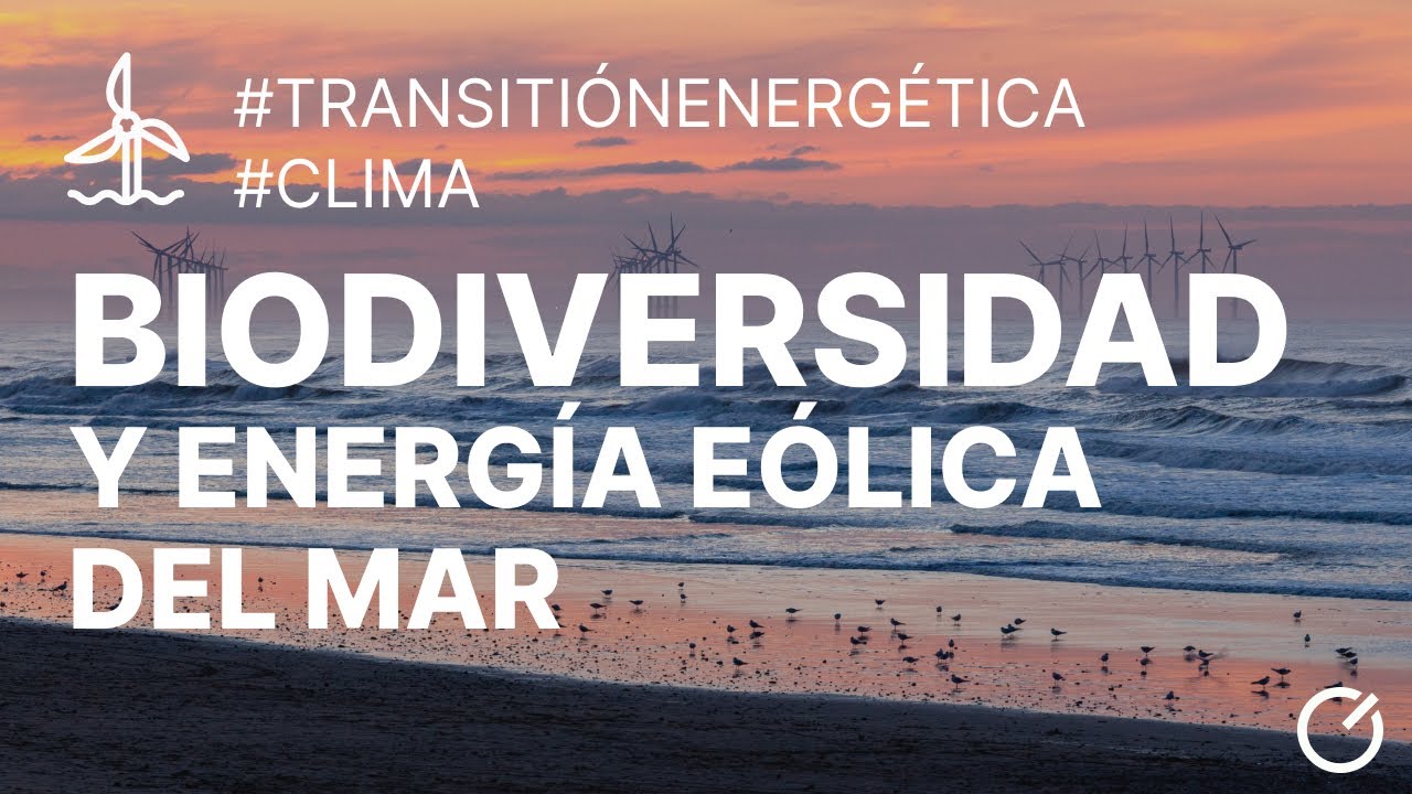 Infraestructuras energéticas marinas y biodiversidad
