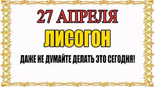 27 АПРЕЛЯ народный праздник Мартынов День. Что нельзя делать.  Народные традиции и суеверия.