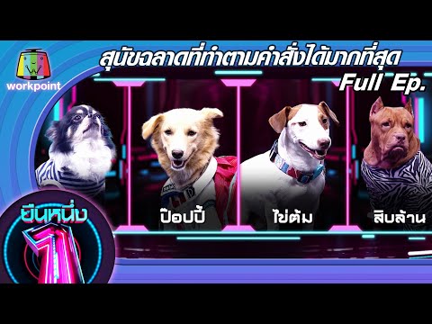 วีดีโอ: Move Over, Barksy! ศิลปะบนถนน Dog Street ที่ดีที่สุดในกรุงลอนดอน