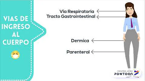 TOXICOLOGIA - TÓXICOS ORGÁNICOS