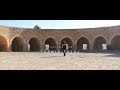 أغنية مهبولة برشة لعشاق بلطي