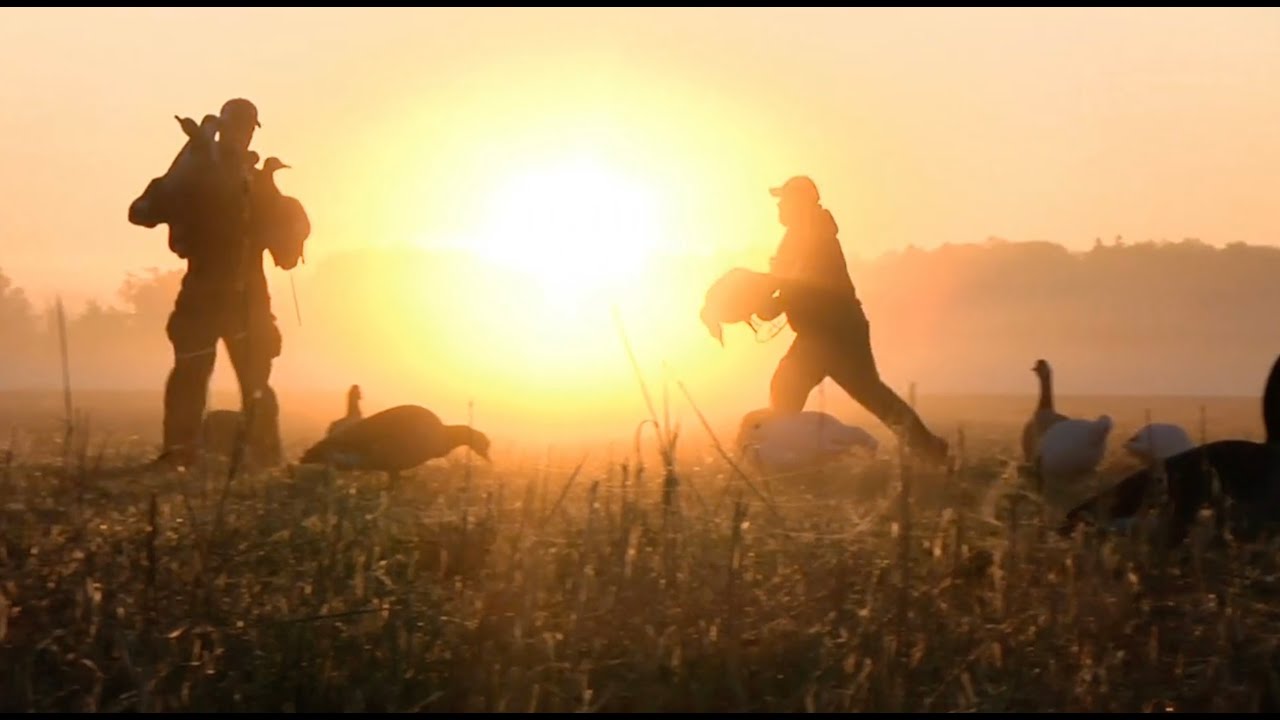 Québec à vol d'oiseau, saison 3, Épisode 32 bernache lac st jean