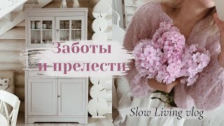 Прелесть Уходящего Лета🌸: Заботы в саду, Вкусные заготовки | 🌿Slow Living vlog