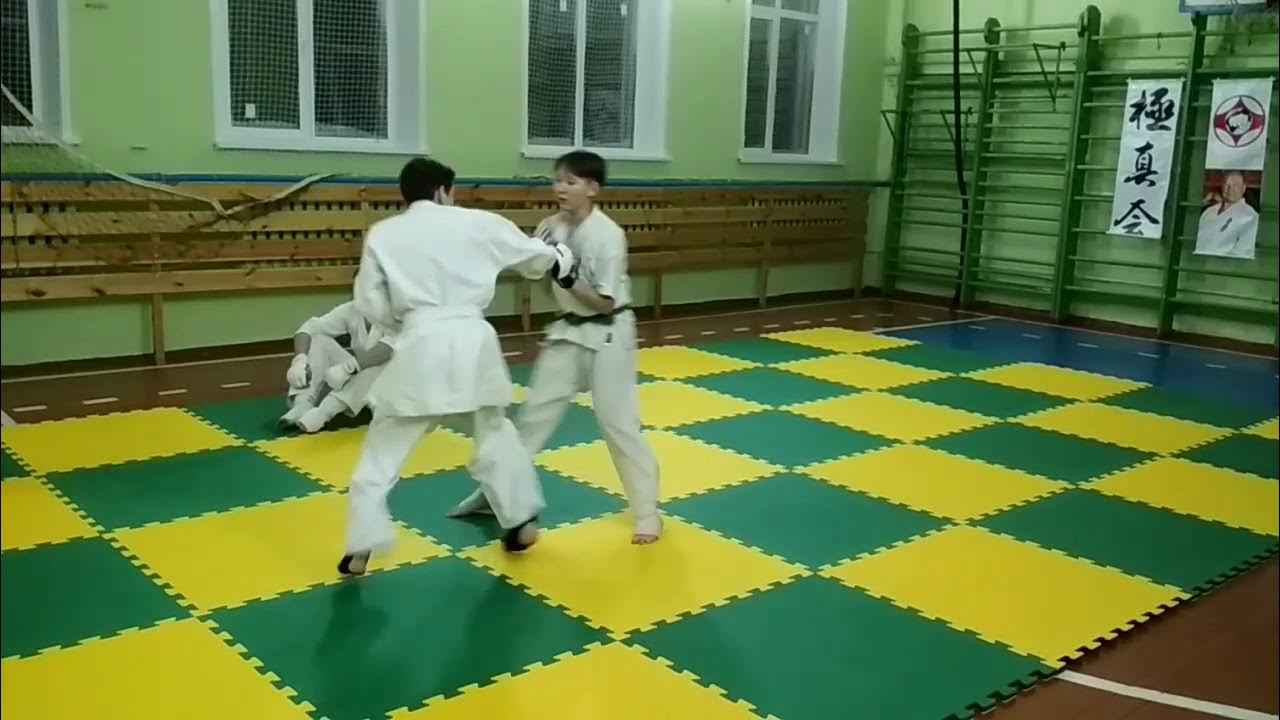 Всестилевое каратэ Йошкар Ола