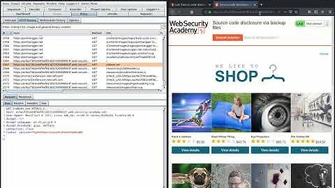 PortSwigger Lab: Source code disclosure via backup files walk-through #VisualCubes