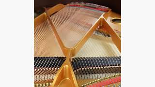 Song Without Words Op  62 No  3  Funeral March   Felix Mendelssohn