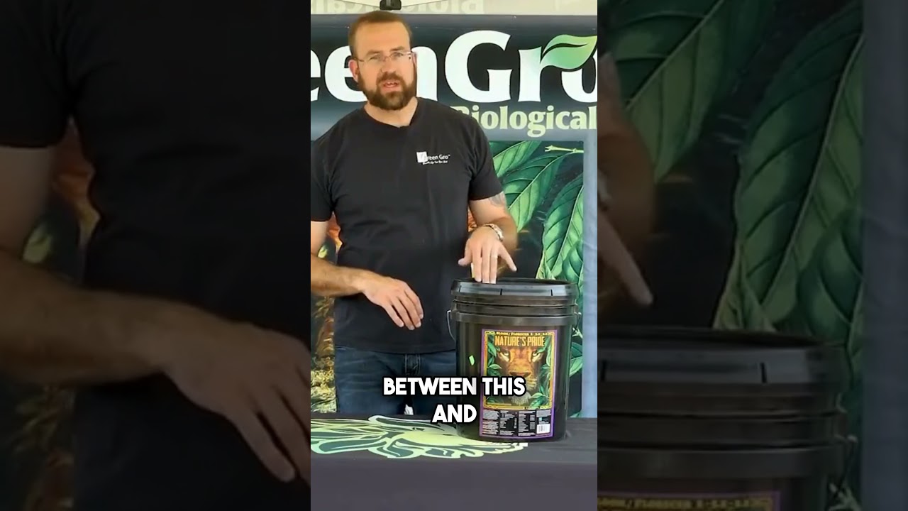 Veg vs. Bloom: What’s the Difference? 🌱🌸