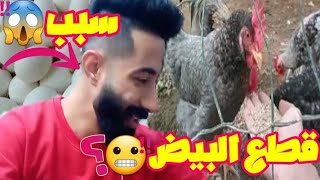 لغز في الحلقه عليك اكتشافه ? / سبب توقف الدجاج عن انتاج البيض ماهو السبب وراء تساقط ريش الطيور ?