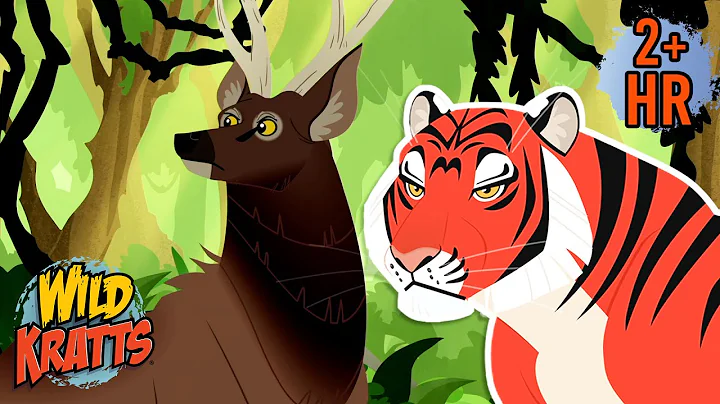 Creature Combat | Tiger Vs Sambar Deer | Wild Kratts