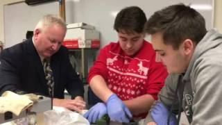 fingerprinting forensics class 1