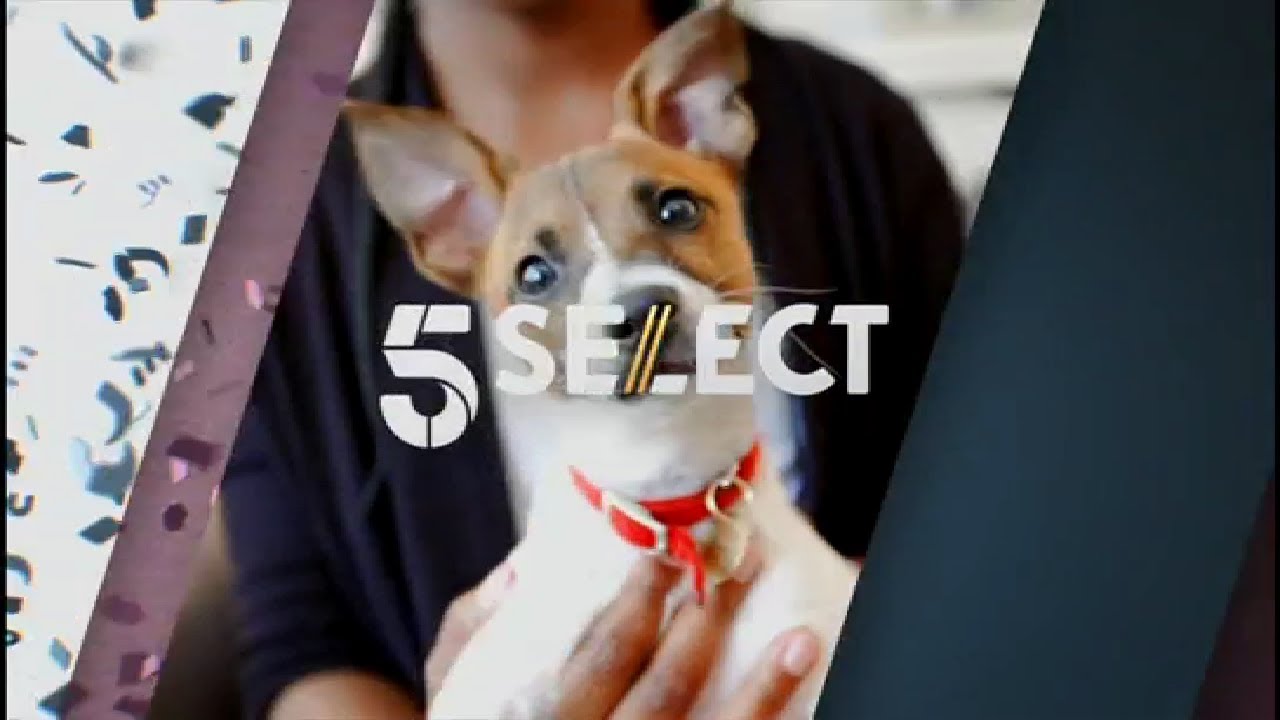 5Select - Continuity and adverts (17th June 2024) - YouTube