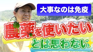 【有機農法】農薬を使いたいとは思わない　大事なのは免疫とバランス　リコベジファーム主宰　穐本裕紀子さん