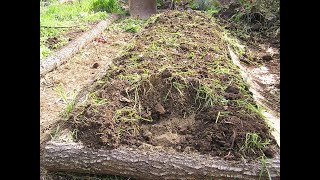 видео: ПРАВИЛЬНЫЙ  ГРУНТ ДЛЯ РАССАДЫ картинка: ПРАВИЛЬНЫЙ  ГРУНТ ДЛЯ РАССАДЫ