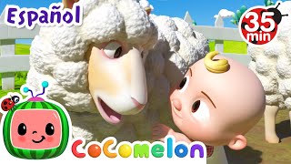 CoComelon en Español | El viejo MacDonald tenía una granja | Compilación de Canciones Infantiles