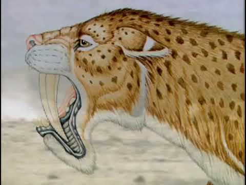 PaleoWorld S3E02   Dawn of the Cats