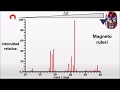 Espectrometría de Masas: Conceptos Básicos