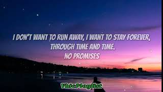 Shayne Ward   No Promises Lyrics🎶 1