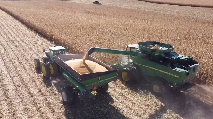 Harvest of 2021