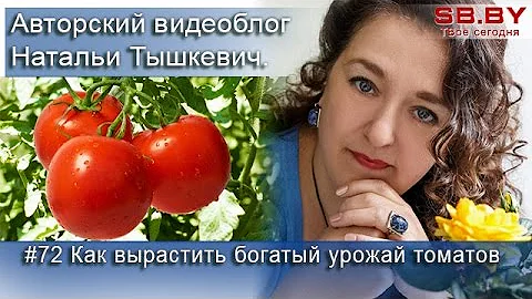 #72 Как вырастить богатый урожай томатов