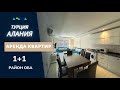 Квартира в Алании 1+1 | Oba Deluxe | Недвижимость в Турции